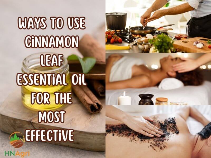 top-4-cinnamon-leaf-essential-oil-benefits-you-should-know-6