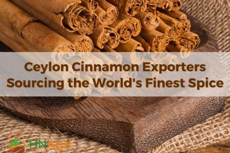 ceylon-cinnamon-exporters-sourcing-the-worlds-finest-spice-1