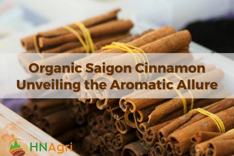 organic-saigon-cinnamon-unveiling-the-aromatic-allure-and-culinary-wonders-1