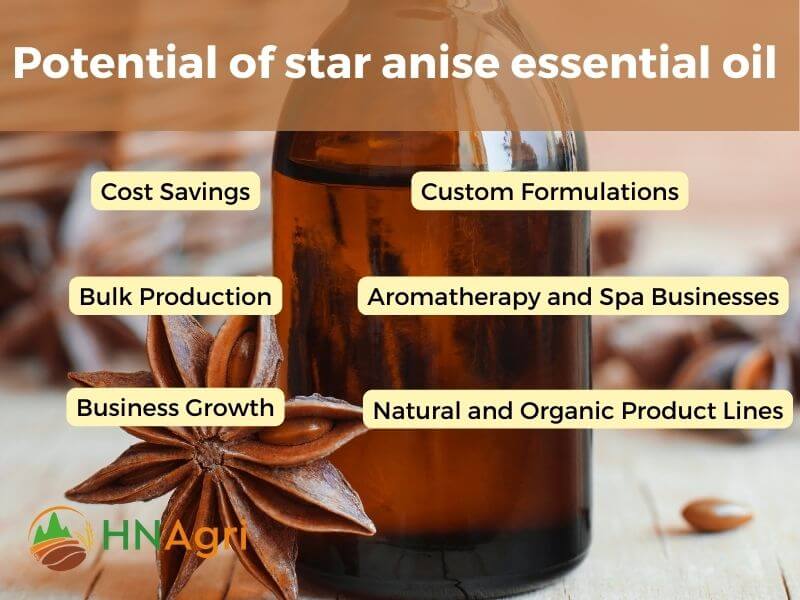 premium-star-anise-oil-your-go-to-choice-for-wholesale-purchases-4