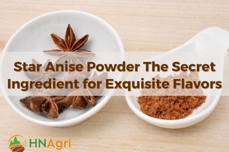 star-anise-powder-the-secret-ingredient-for-exquisite-flavors-1