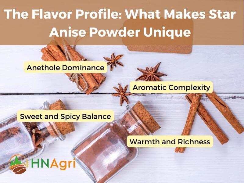 star-anise-powder-the-secret-ingredient-for-exquisite-flavors-3