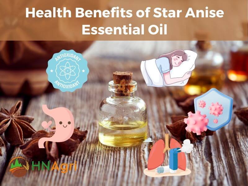 premium-star-anise-oil-your-go-to-choice-for-wholesale-purchases-3
