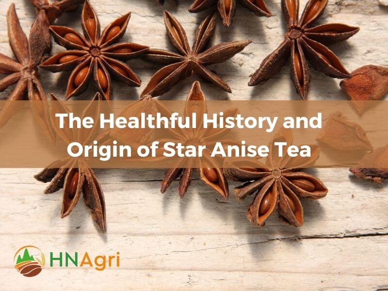 harnessing-the-power-of-star-anise-tea-for-wellbeing-2