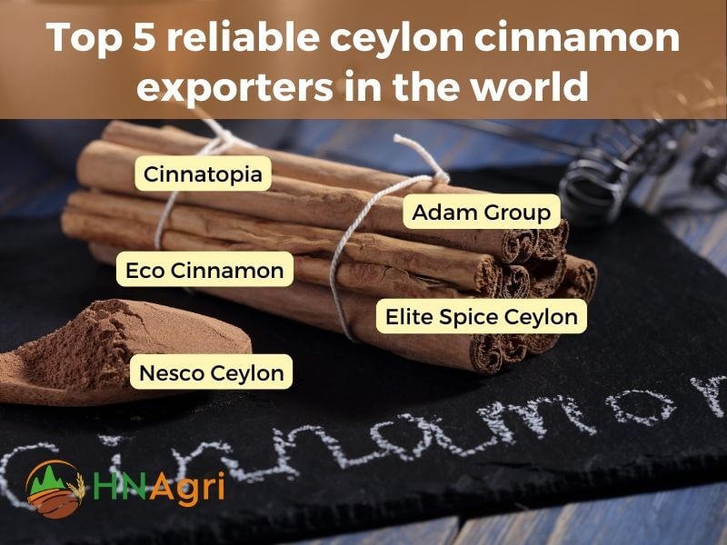 ceylon-cinnamon-exporters-sourcing-the-worlds-finest-spice-5
