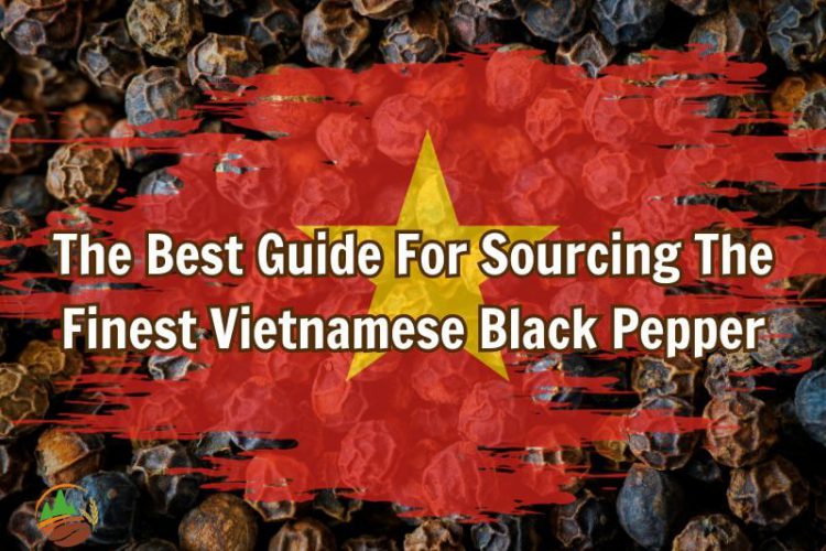 the-best-guide-for-sourcing-the-finest-vietnamese-black-pepper