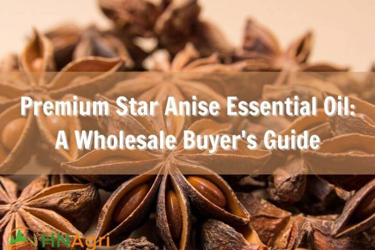 premium-star-anise-essential-oil-a-wholesale-buyers-guide-1