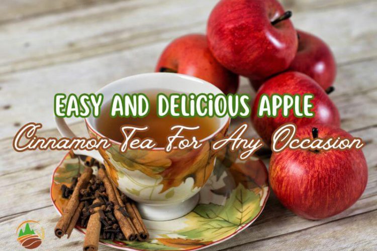 easy-and-delicious-apple-cinnamon-tea-for-any-occasion