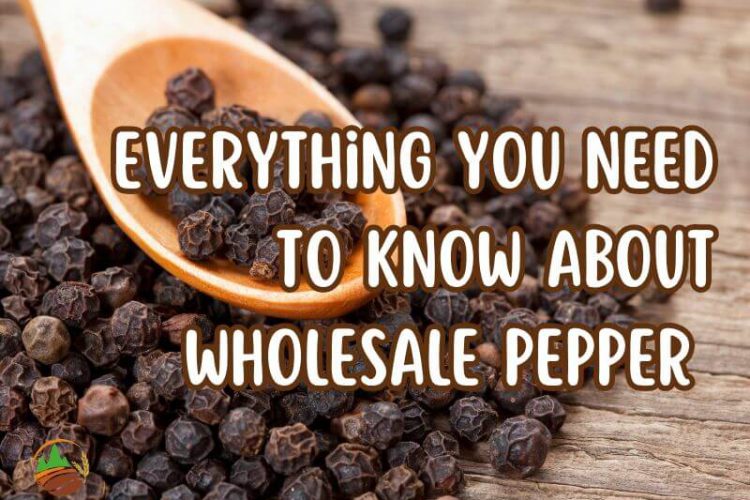 everything-you-need-to-know-about-wholesale-pepper