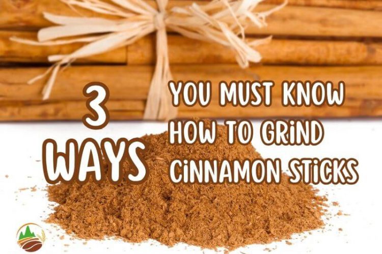 3-ways-you-must-know-how-to-grind-cinnamon-sticks