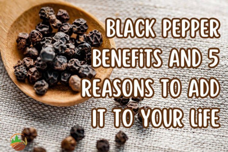 black-pepper-benefits-and-5-reasons-to-add-it-to-your-life