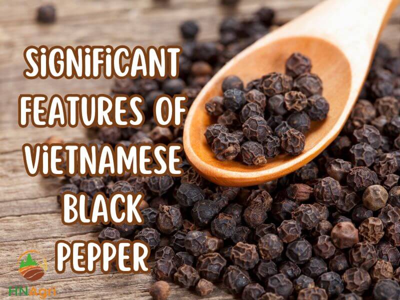 the-best-guide-for-sourcing-the-finest-vietnamese-black-pepper-1
