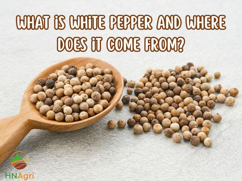 exploring-the-world-of-white-pepper-the-potential-spice-1