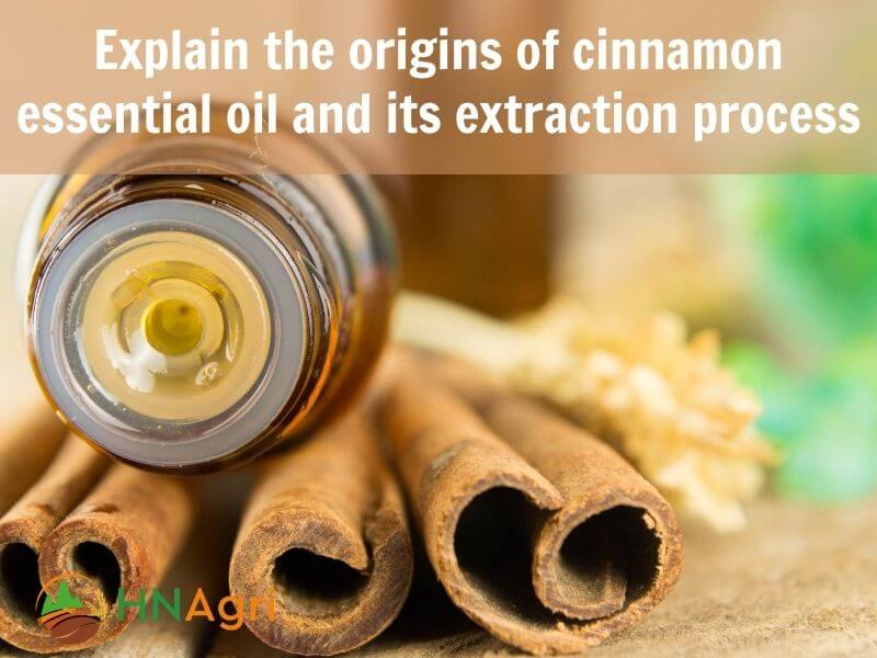 cinnamon-essential-oil-for-skin-nurturing-wellness-through-nature-2