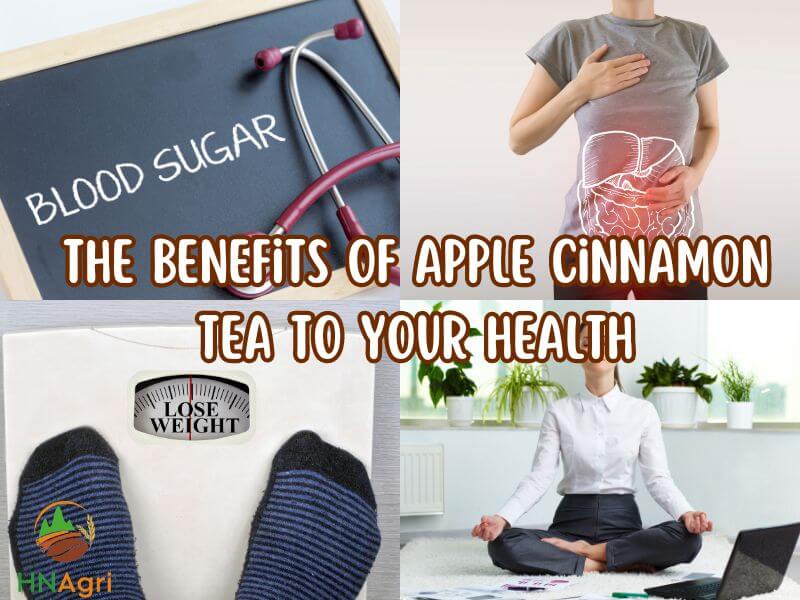easy-and-delicious-apple-cinnamon-tea-for-any-occasion-1