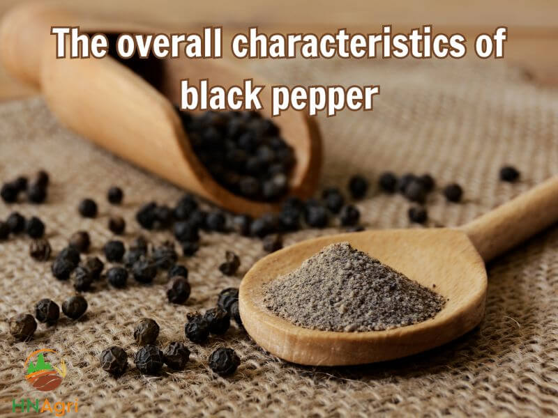 the-secret-potentials-of-black-pepper-that-you-cannot-ignore-1