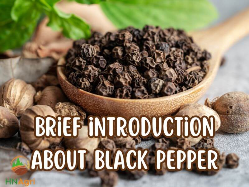 black-pepper-benefits-and-5-reasons-to-add-it-to-your-life-1