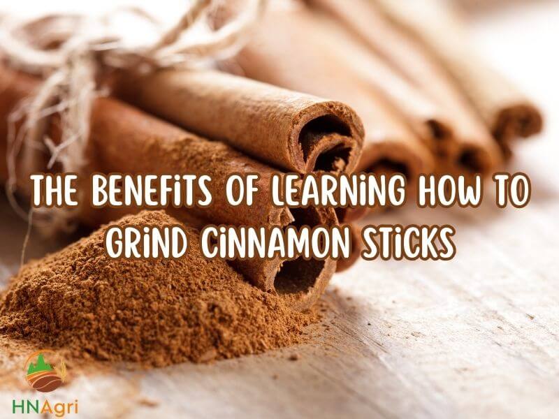 3-ways-you-must-know-how-to-grind-cinnamon-sticks-1
