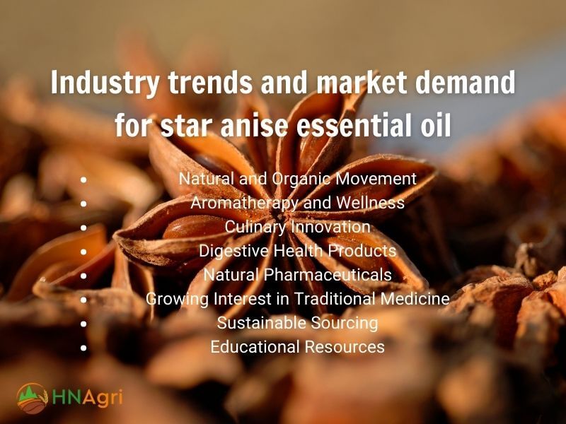 premium-star-anise-essential-oil-a-wholesale-buyers-guide-3