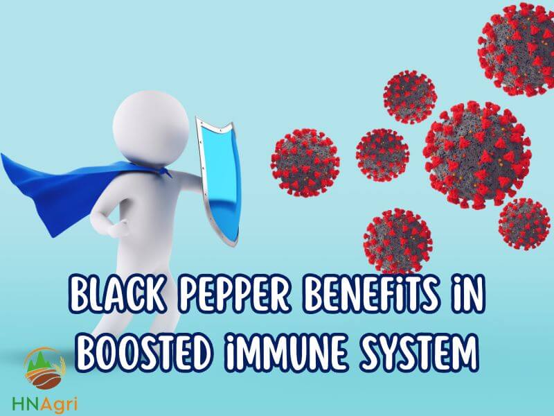 black-pepper-benefits-and-5-reasons-to-add-it-to-your-life-2