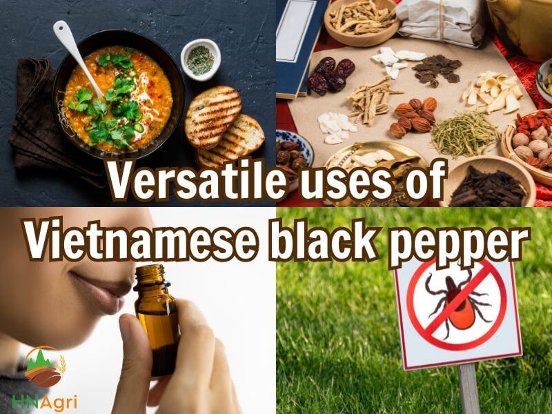 the-best-guide-for-sourcing-the-finest-vietnamese-black-pepper-2