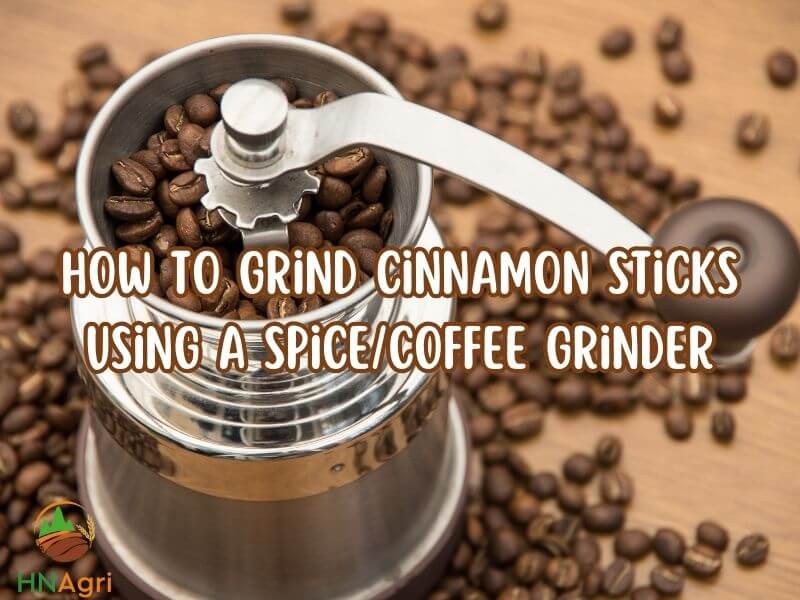 3-ways-you-must-know-how-to-grind-cinnamon-sticks-3