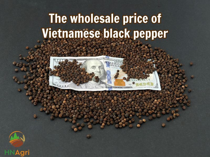 the-best-guide-for-sourcing-the-finest-vietnamese-black-pepper-3
