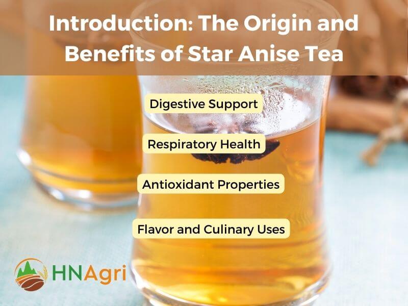 unlock-the-delight-learn-how-to-make-star-anise-tea-at-home-2