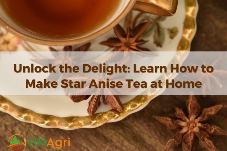 unlock-the-delight-learn-how-to-make-star-anise-tea-at-home-1