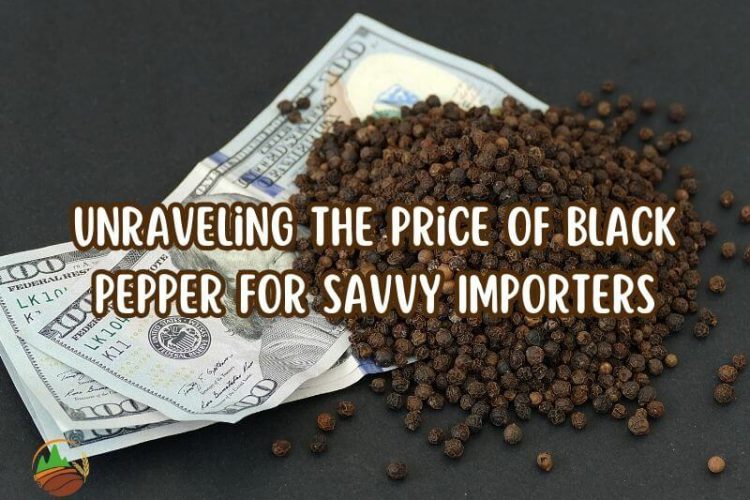 unraveling-the-price-of-black-pepper-for-savvy-importers