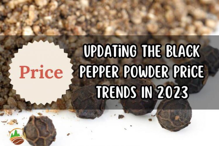 updating-the-black-pepper-powder-price-trends-in-2023