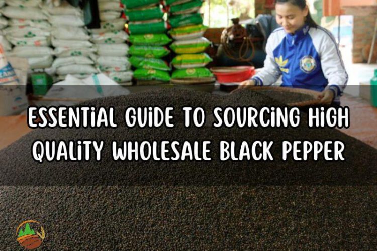 essential-guide-to-sourcing-high-quality-wholesale-black-pepper