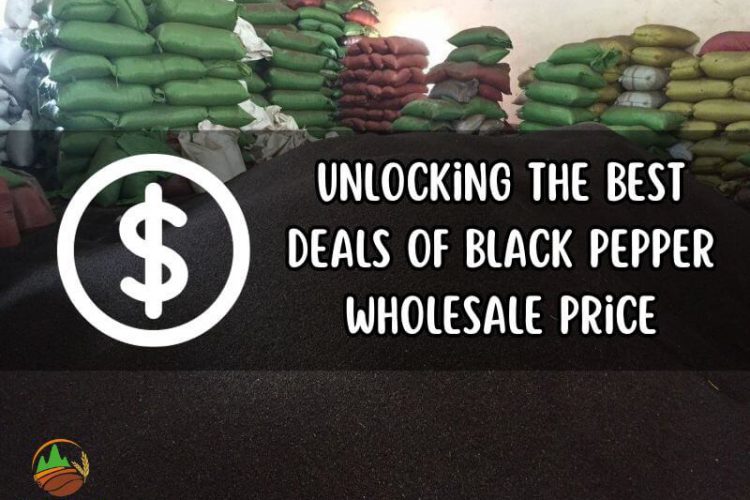 unlocking-the-best-deals-of-black-pepper-wholesale-price