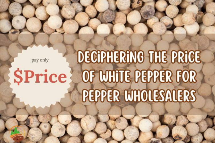 deciphering-the-price-of-white-pepper-for-pepper-wholesalers
