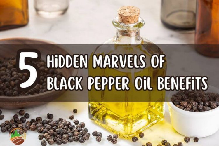 unveiling-5-hidden-marvels-of-black-pepper-oil-benefits