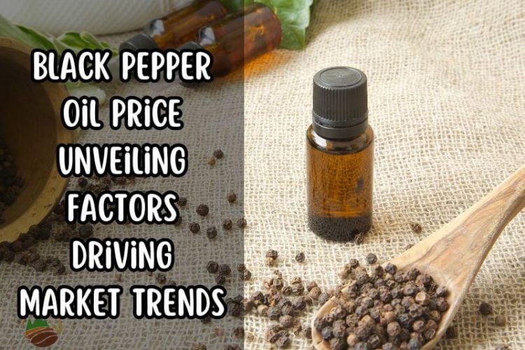 black-pepper-oil-price-unveiling-factors-driving-market-trends
