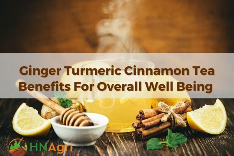 Ginger Turmeric Cinnamon Tea Benefits For Overall Well Being