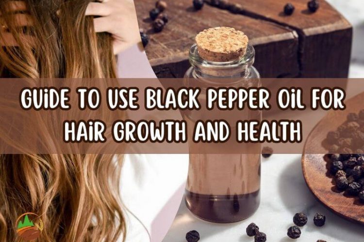 guide-to-use-black-pepper-oil-for-hair-growth-and-health