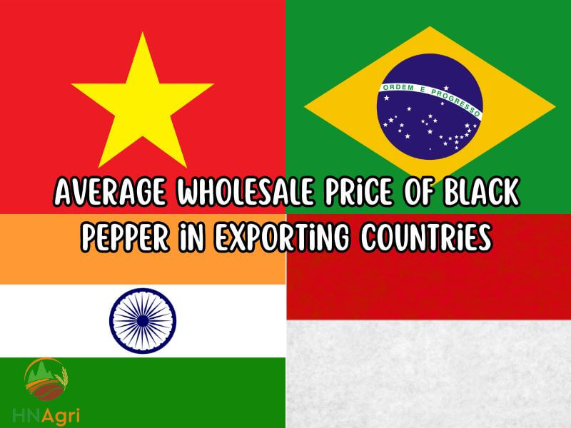 unlocking-the-best-deals-of-black-pepper-wholesale-price-1