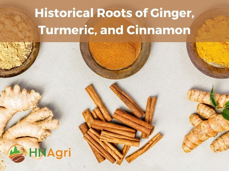 Historical Roots of Ginger, Turmeric, and Cinnamon