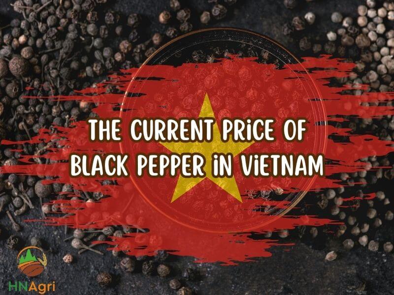 unraveling-the-price-of-black-pepper-for-savvy-importers-2