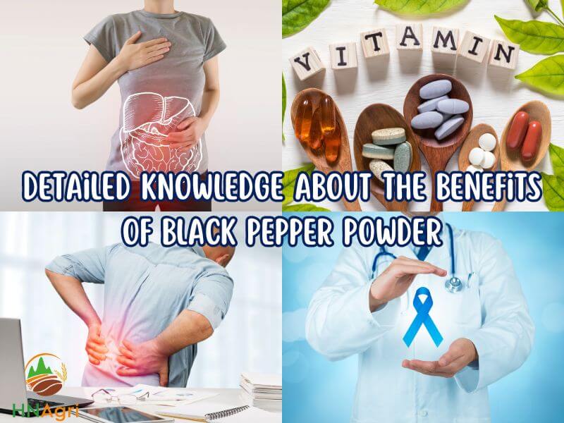 unveiling-the-incredible-health-benefits-of-black-pepper-powder-2