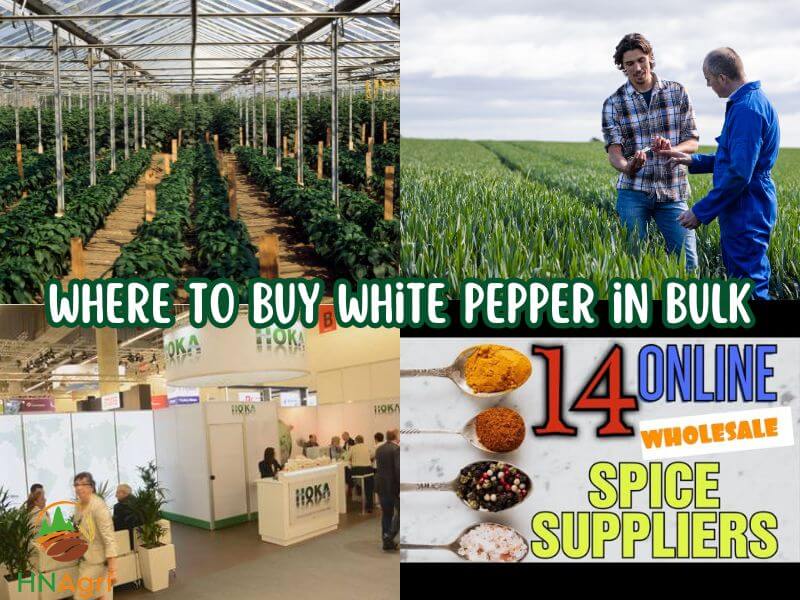 guide-to-find-reliable-places-where-to-buy-white-pepper-2