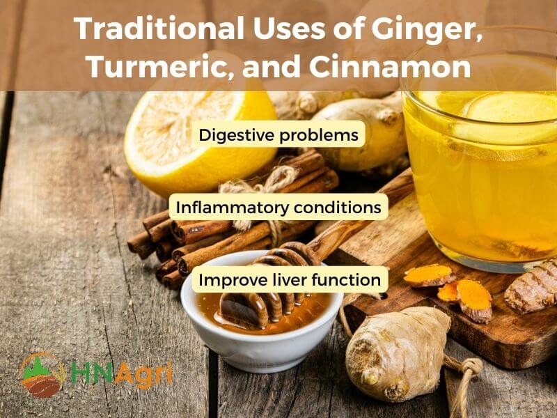 Traditional Uses of Ginger, Turmeric, and Cinnamon
