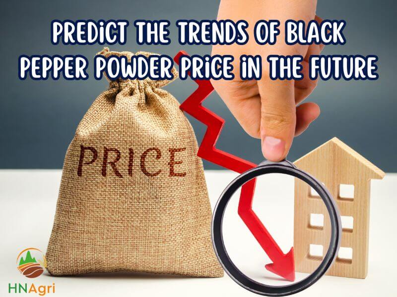 updating-the-black-pepper-powder-price-trends-in-2023-3