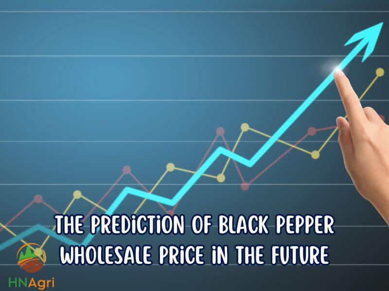 unlocking-the-best-deals-of-black-pepper-wholesale-price-3