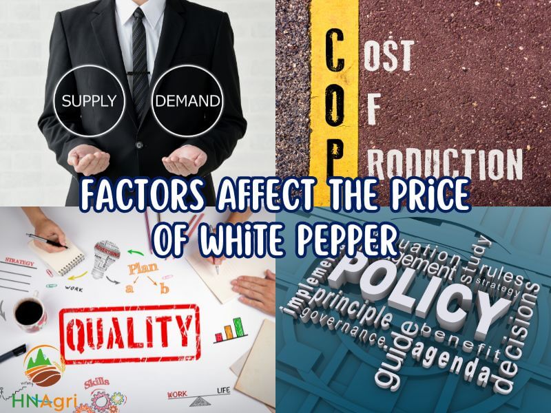 deciphering-the-price-of-white-pepper-for-pepper-wholesalers-3