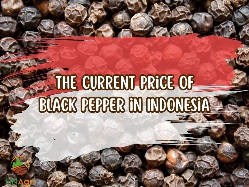 unraveling-the-price-of-black-pepper-for-savvy-importers-4