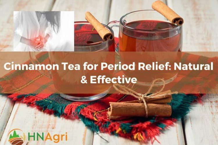 Cinnamon Tea for Period Relief Natural & Effective