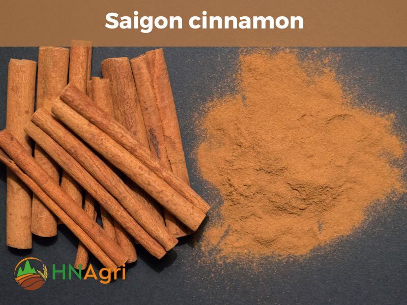 Decoding the Charm of Saigon Cinnamon